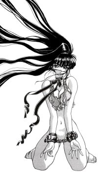 BUY NEW seraphic feather - 38095 Premium Anime Print Poster